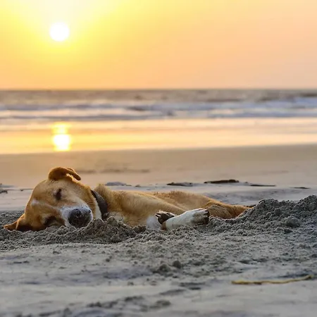 Luett Fiete In Der Alten Seefahrtschule Wustrow Lejlighed